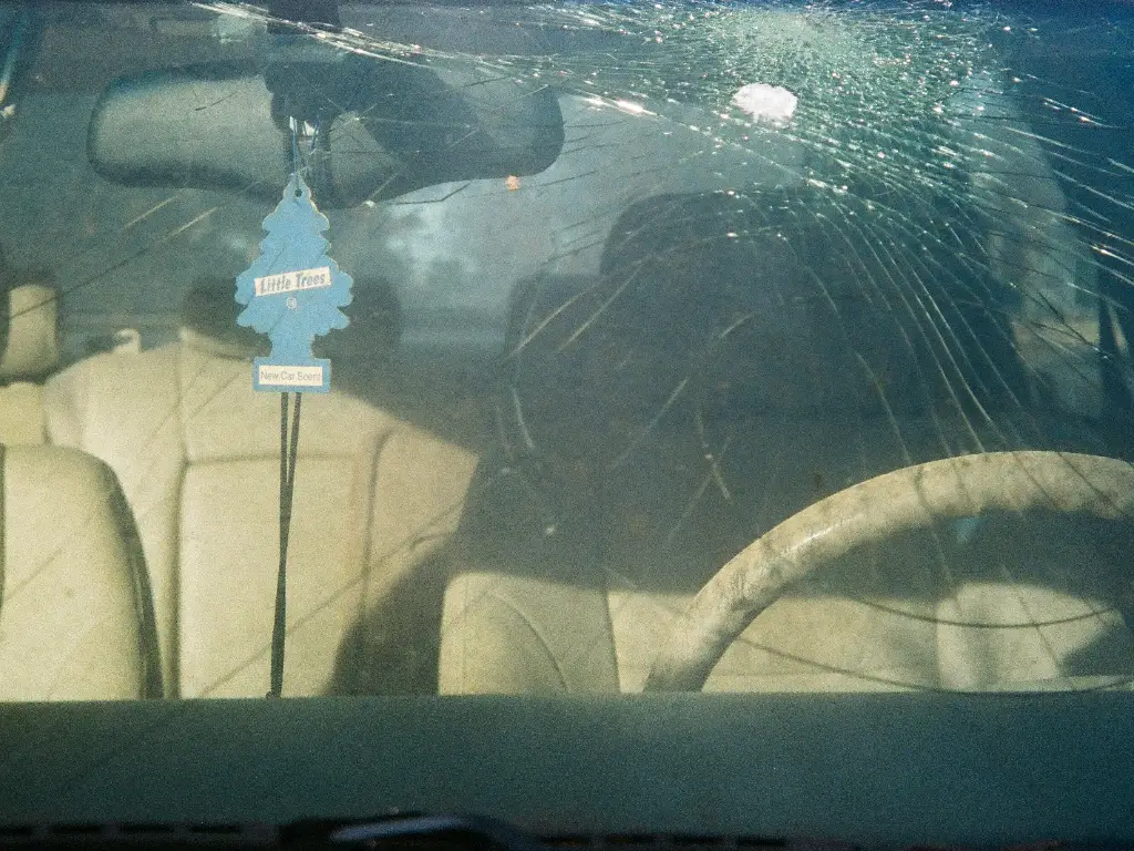 windshield